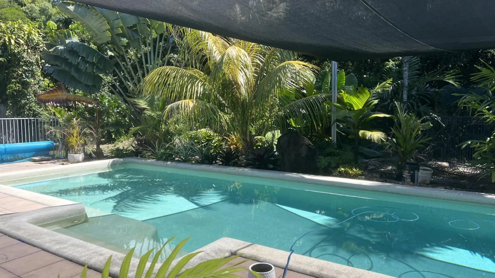 Indigo Studio With Pool 200M To Beach Hotel Palm Cove 0*,  Australia